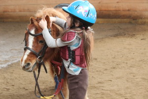 putting on a bridle