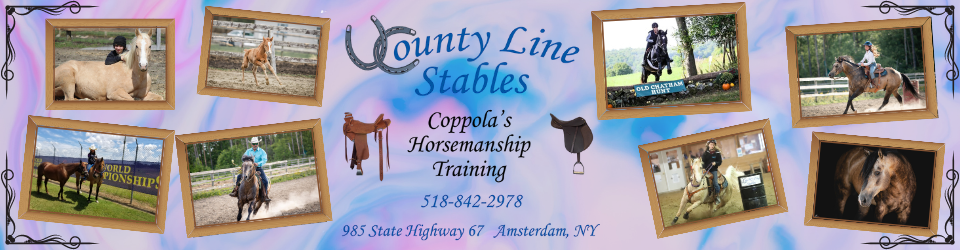 County Line Stables